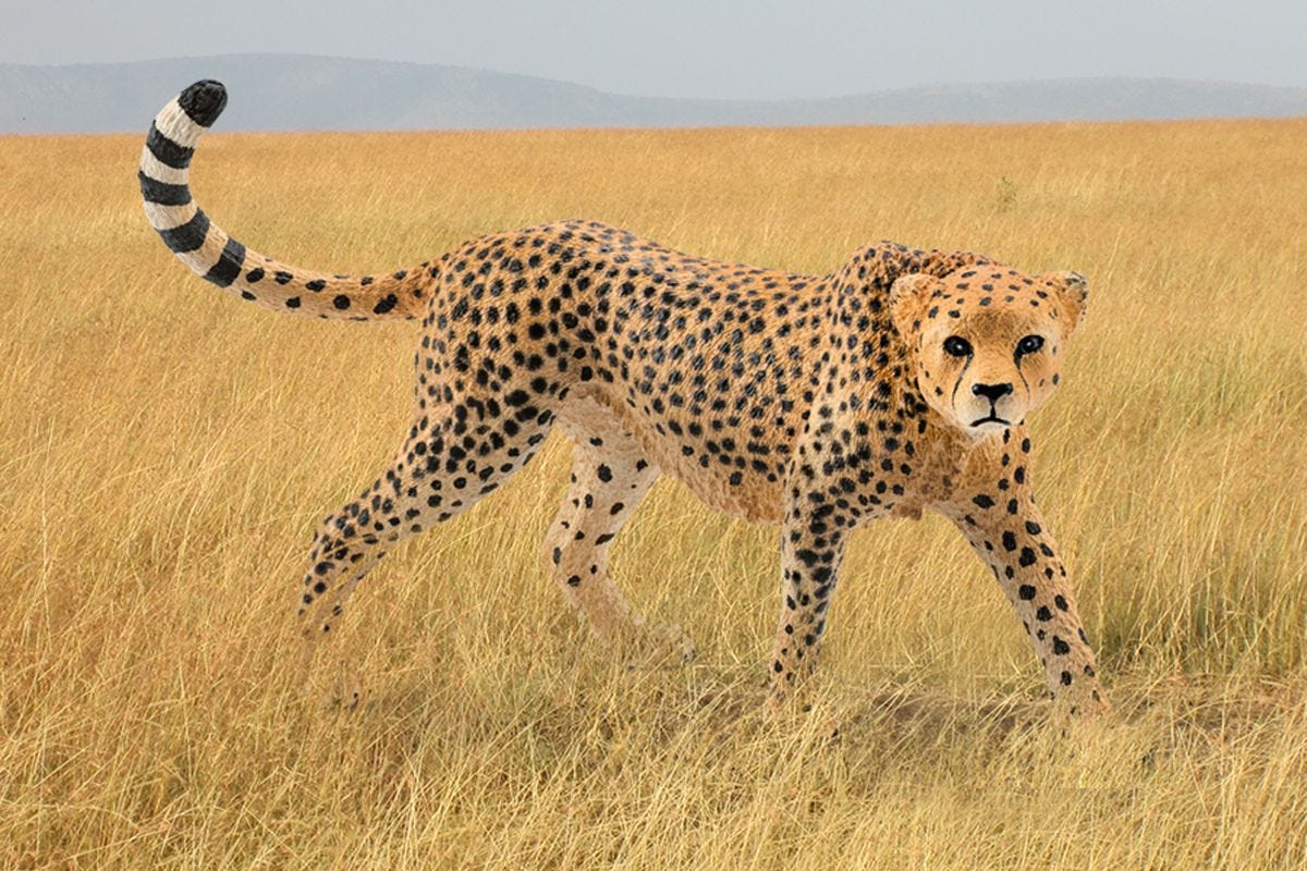 Produktbild 2